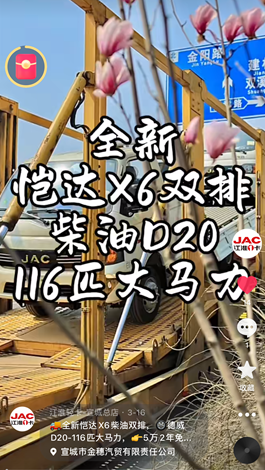 全新愷達(dá)X6柴油雙排，德威D20-116匹大馬力。